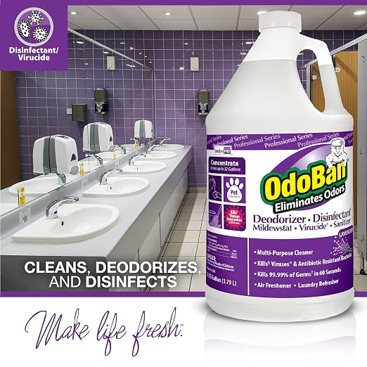 OdoBan Professional Disinfectant and Odor Eliminator Concentrate, 2-Pack, 1 Gallon Each Original Eucalyptus and Lavender Scents Bundle with Zep Professional Sprayer Bottle 32 ounces