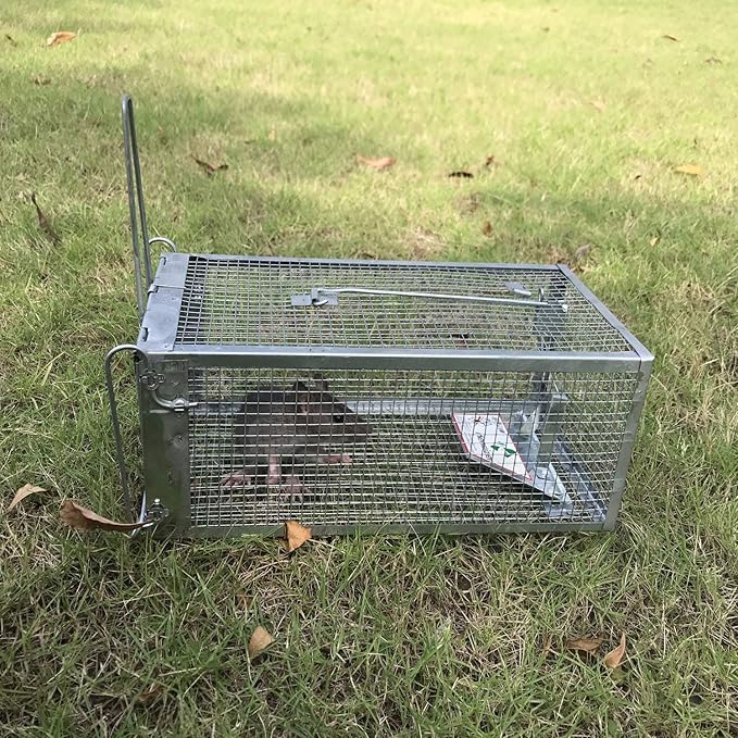 Kensizer 2-Pack Animal Humane Live Cage Trap that Work for Rat Mouse Chipmunk Mice Voles Hamsters and Other Small Rodents, Trampa para Ratones, Catch and Release