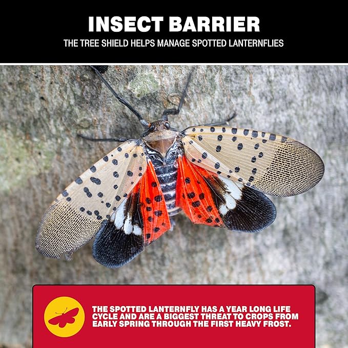 Catchmaster Tree Shield Lantern Fly & Ant Traps Insect Barrier, 4 Rolls 30ft Each, Outdoor Adhesive Crawling Insect Trap to Protect Trees, Fruit & Plants, Pest Control Lawn & Garden