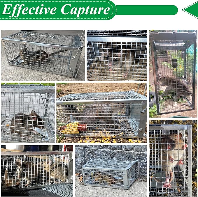 2 Packs Humane Rat Trap Outdoor, Wanqueen Humane Mouse Traps Indoor for Home, Small Rodent Chipmunk Trap and Other Live Animal Cage Catch and Release