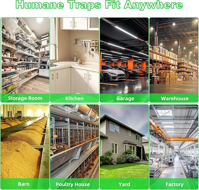 Humane Rat Traps 2-Pack, No Kill Small Animal Cage Trap, Live Mouse Trap Cage Catch and Release, Trampa para Ratones, Chipmunk Rodent Trap that Work for Indoor and Outdoor - 12.3" L x 6.5" W x 5.3" H