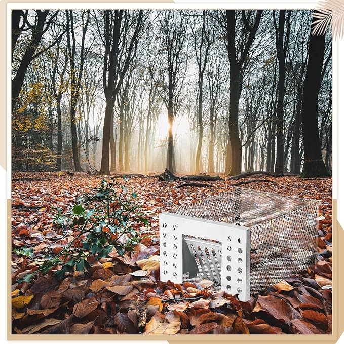 1 Pcs Humane Rat Trap Live Chipmunk Cage Trap for Indoor and Outdoor Small Rodent Animal Mouse Vole Chipmunk Hamsters Live Cage, Catch and Release (Closed)