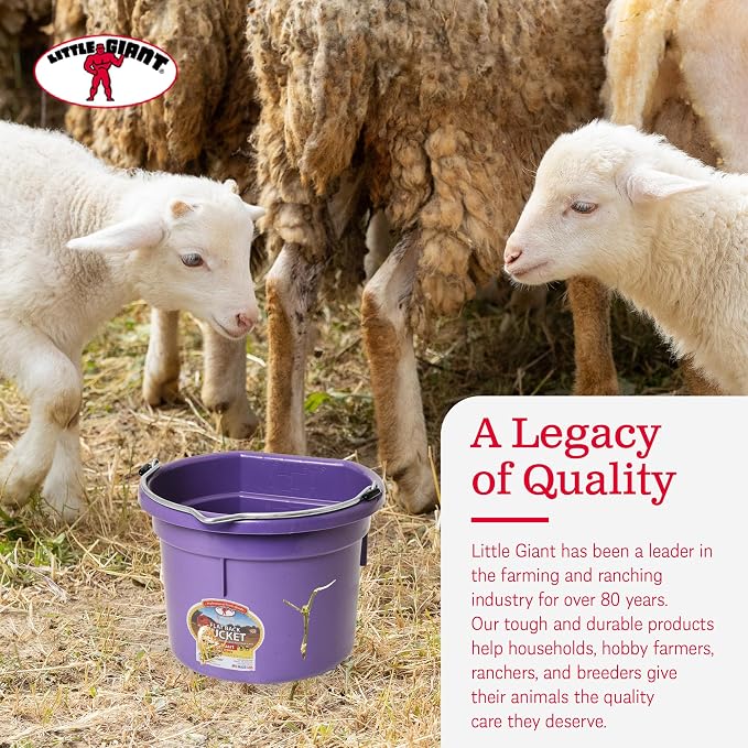 Little Giant P8FBPURPLE 2 Gallon All Purpose Heavy Duty Farm Flat Back Plastic Buckets for Supplies, Toys, Laundry, and Water, Purple, (2 Pack)