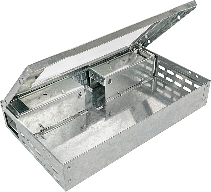 iTrap Multi-Catch Humane Mouse Trap with Clear Top | Repeater Mouse Trap for Home & Office | Set of 3 - iTrap-002-S4-3PK