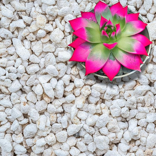 GARDENWISE Perlite for Plants, Extra Coarse Grade 4 Horticultural Perlite, Organic Perlite for Gardening Indoor & Outdoor, Made in USA (30 quarts)