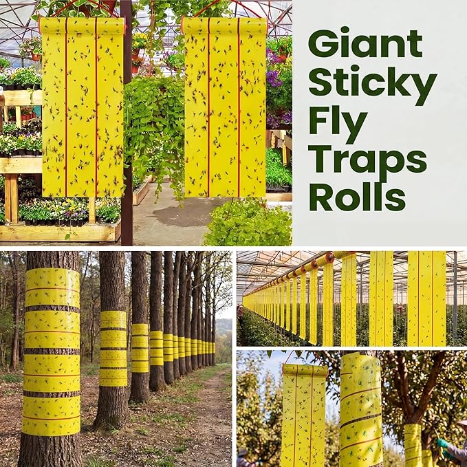 Qualirey Giant Sticky Fly Traps, Fly Strips for Indoor Outdoor Hanging Flying Tapes Non Toxic Ribbon Fruit Gnat Killer for Mosquito Plants House Horse Stable(30 ft,Yellow,15 Pcs)