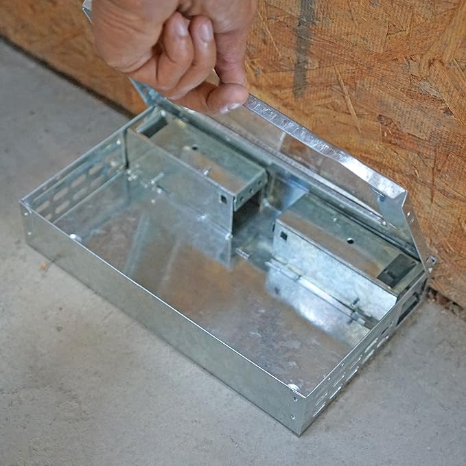 iTrap Multi-Catch Humane Mouse Trap with Clear Top | Repeater Mouse Trap for Home & Office | Set of 3 - iTrap-002-S4-3PK