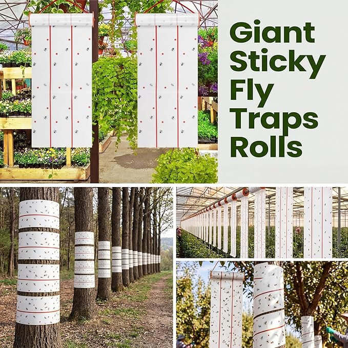 Qualirey Giant Sticky Fly Traps, Fly Strips for Indoor Outdoor Hanging Flying Tapes Non Toxic Ribbon Fruit Gnat Killer for Mosquito Plants House Horse Stable (30 ft,White,5 Pcs)
