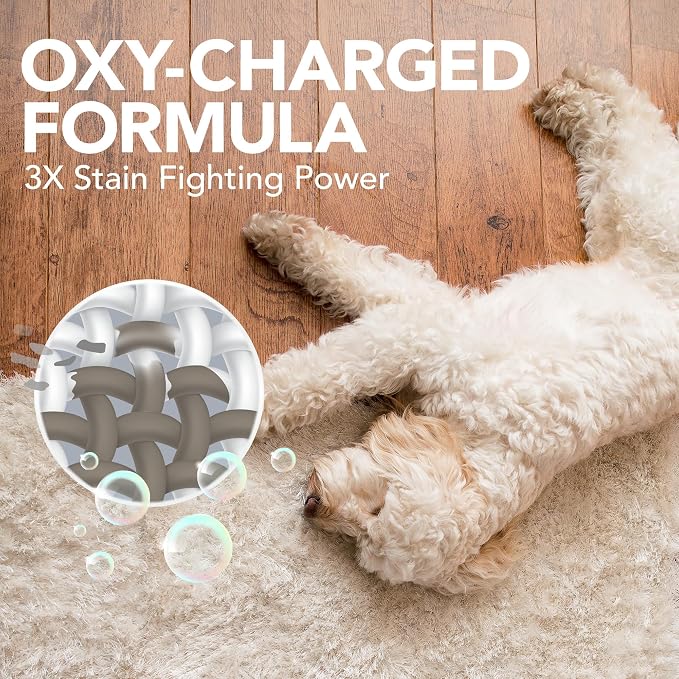 Simple Solution Oxy Charged Pet Stain and Odor Remover, Pet Cleaner, Carpet Stain Remover, 3X Oxy Power, Carpet Spray, Eliminates Dog Urine, Waste & Vomit Odors, 1 Gallon