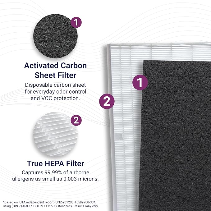 Winix Genuine Replacement Filter S (Model1712-0096-00) for Winix C545 Air Purifier