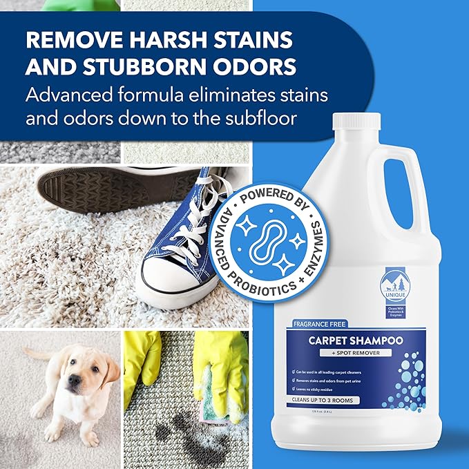 Unique Carpet Shampoo, Pet Stain & Odor Remover, Enzyme Carpet Cleaner for Dog & Cat Urine, Deep Cleaning Solution, Value Size, 128 oz