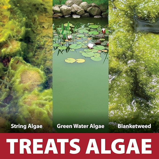 The Pond Guy InstaFix Algae Control, Outdoor Water Garden, Fountain & Birdbath Algae Solution, EPA Registered Liquid Algaecide, Control Green Water & String Algae, Bird, Fish & Pet Safe, 2.5 Gallon