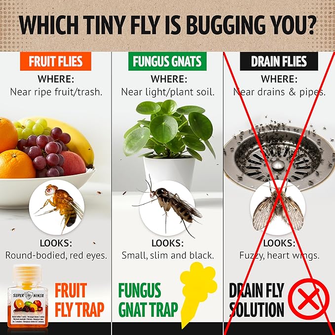 Super Ninja Fruit Fly Traps for Indoors - 12 Pack, Highly Effective Fruit Fly Catcher for Indoor Use for Home & Kitchen, Up to 3 Weeks of Performance per Bottle, Kid & Pet Friendly