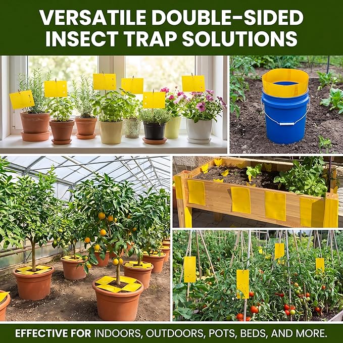 Qualirey 11.8 x 7.8 Inch Extra Large Yellow Sticky Traps for Plant Double Sided Sticky Trap for Gnats with Twist Ties Fly Traps for Fruit Insect Fungus Bugs Indoor Outdoor (100 Pcs)