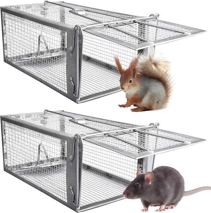 Humane Rat Traps 2-Pack, No Kill Small Animal Cage Trap, Live Mouse Trap Cage Catch and Release, Trampa para Ratones, Chipmunk Rodent Trap that Work for Indoor and Outdoor - 12.3" L x 6.5" W x 5.3" H