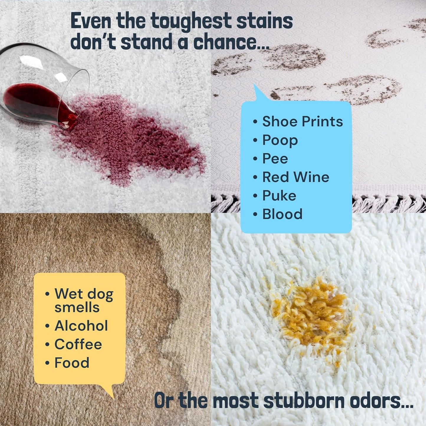 Sunny & Honey Carpet Cleaner Solution - 32 Fl Oz, Fresh Summer Scent - Rug Shampoo & Upholstery Cleaning Solution - Pet Odor Eliminator & Pet Stain Remover