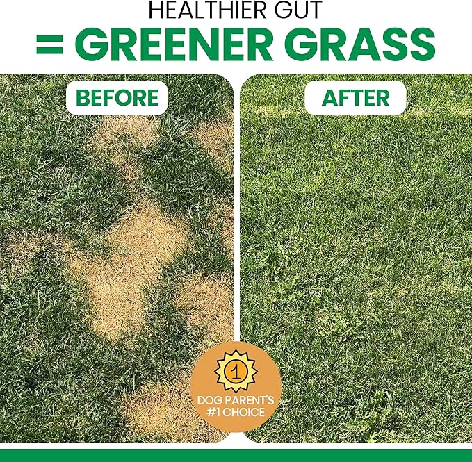 Dog Urine Neutralizer for Lawn, 120 Soft Chews - Green Grass Saver - Eliminates Burns and Yellow Spots - Female and Male Dog Pee Grass Repair with Natural Ingredients